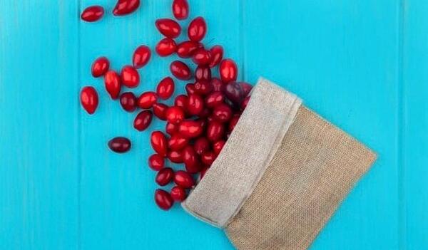 عکس میوه ی زغال اخته