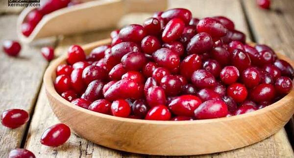 عکس میوه ی زغال اخته