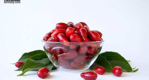 عکس میوه ی زغال اخته