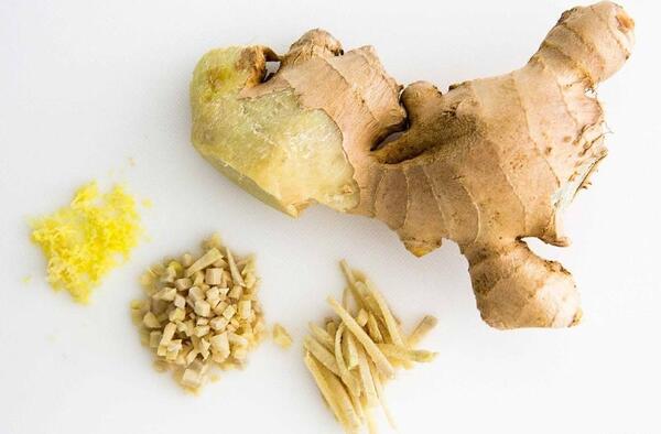 ژست عکس دخترانه در طبیعت بهار
