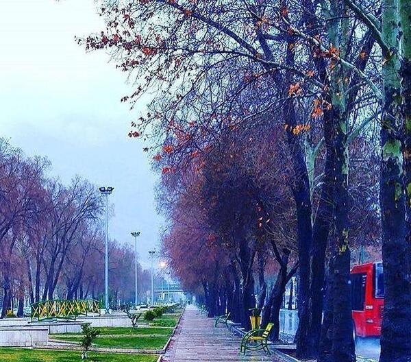 عکس پاییز کرمانشاه