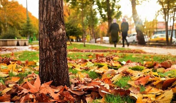 عکس پاییز کرمانشاه