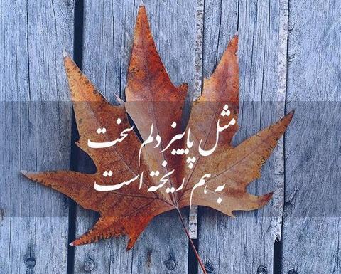 عکس پروفایل پاییز بهاریست که عاشق شده است