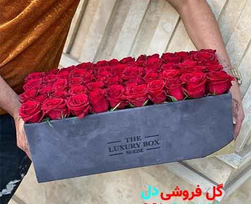 عکس گل لاله شیک