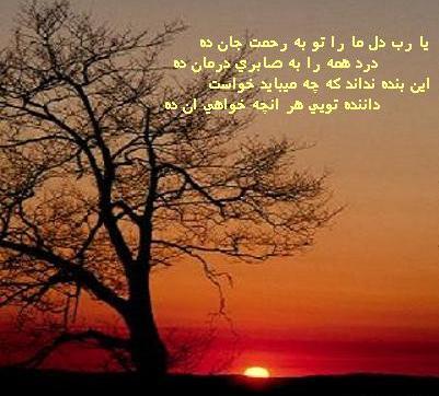عکس قلب زندانی