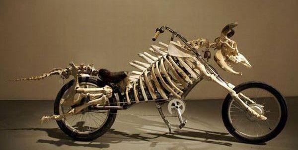 عکس دوچرخه قشنگ