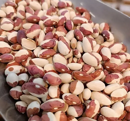 عکس لوبیا داماد