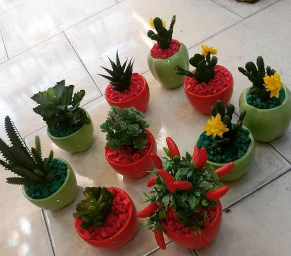 عکس کاکتوس پایه چرمی