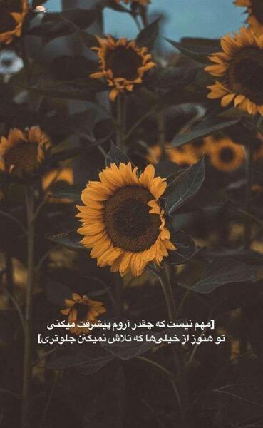 عکس نوشته عاشقانه چشم بد دور