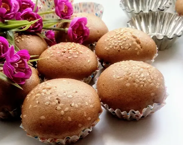 عکس سگ فنجونی وحشی
