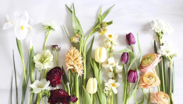 عکس سبز برای پس زمینه