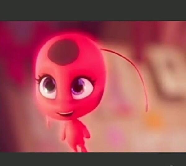 عکس پولن میراکلس