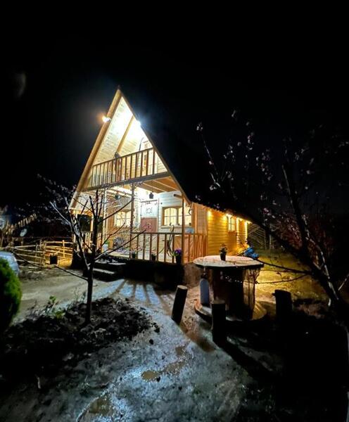 عکس کلبه سوئیسی