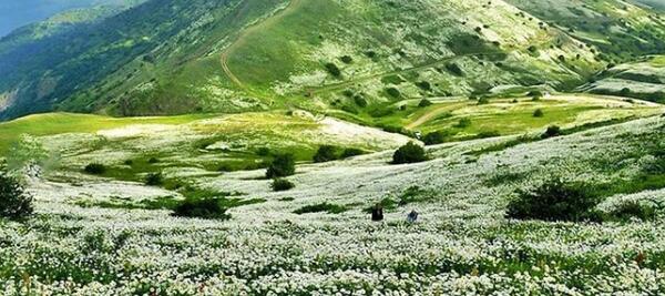 عکس طبیعت فندقلو
