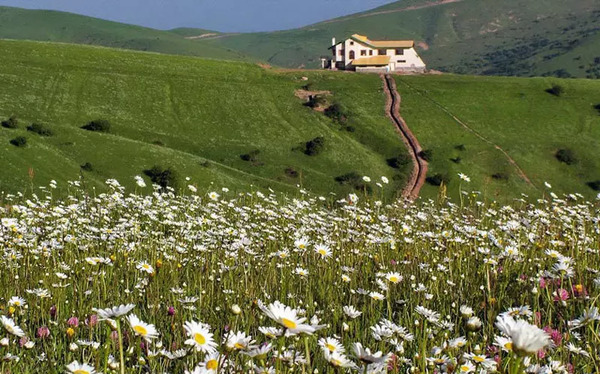 عکس طبیعت فندقلو