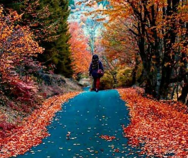 انواع عکس پاییزی برای پروفایل