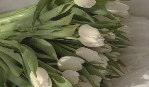 عکس ایده نقاشی هایپر رئال