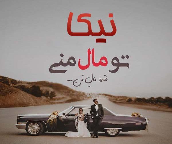 عکس پروفایل اسم نوشته شیوا