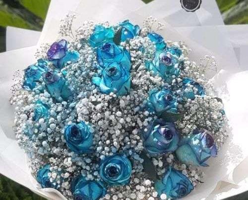 عکس گل طبیعی واقعی