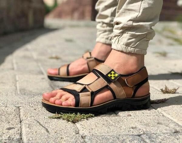 عکس صندل ایرانی