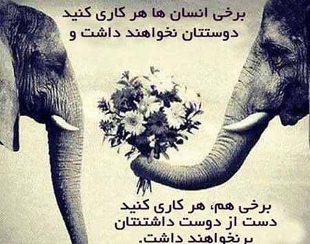 دانلود عکس نوشته های اخلاقی