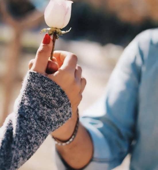 عکسهای عاشقانه جدید بدون متن زیبا