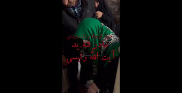 عکس طوطی حرف میزنه