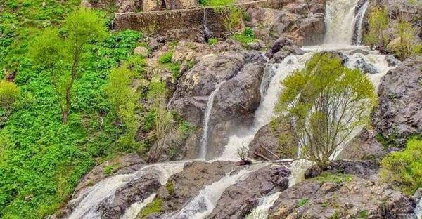 عکس از طبیعت رامسر