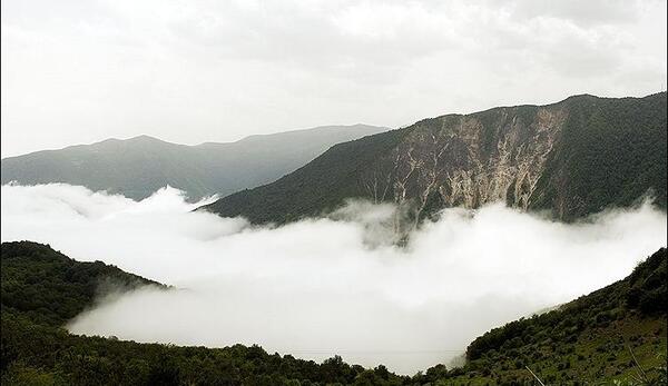 عکس از طبیعت رامسر