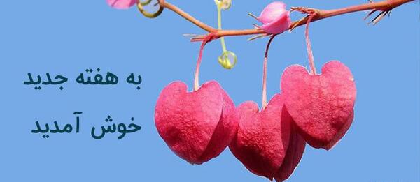 عکس روز شنبه بخیر