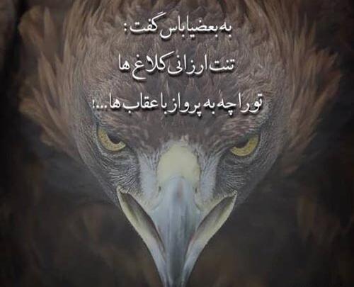 عکس پروفایل پسرانه خفن مغرور