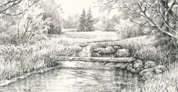 عکس نقاشی سیاه قلم طبیعت حرفه ای