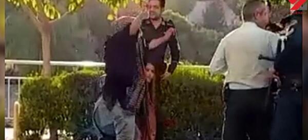 عکس حامد موسوی مراغه