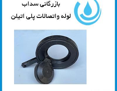 عکس شیر یک