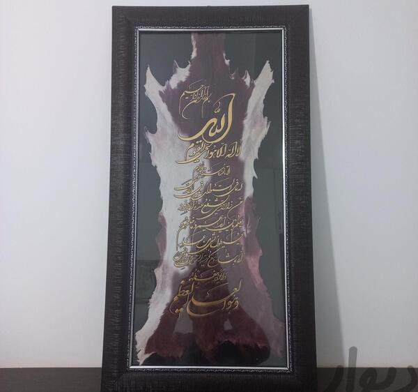 عکس شیراز حافظیه
