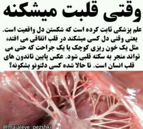 عکس قلب شکسته انسان واقعی