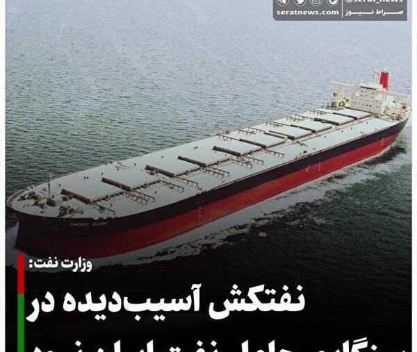 عکس حمله جوجه تیغی