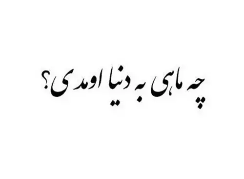 عکس لاتی طاها بهمنی