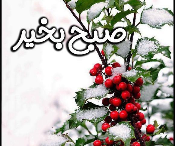 عکس نوشته سلام صبح بخیر شنبه