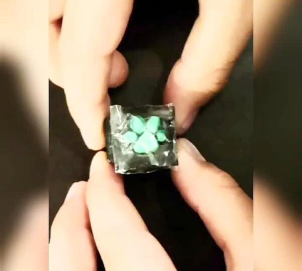 عکس انگشتر گربه
