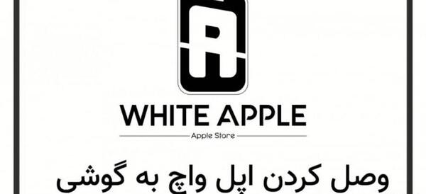 عکس رئیس اپل