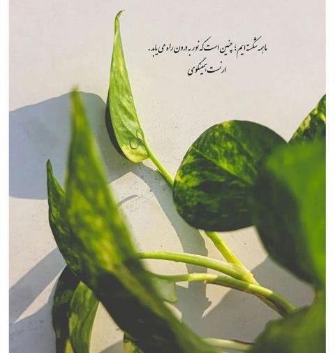 عکس نوشته برای اسرا