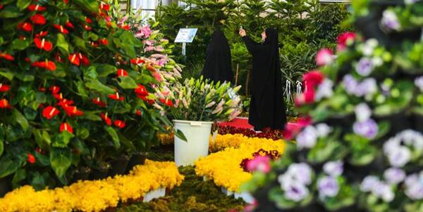 نمایشگاه عکس گل افتادن