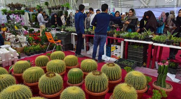 نمایشگاه عکس گل افتادن