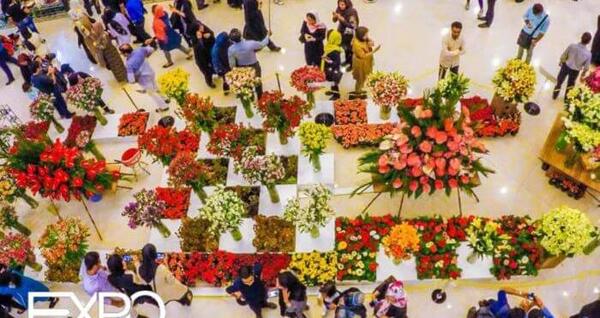 نمایشگاه عکس گل افتادن