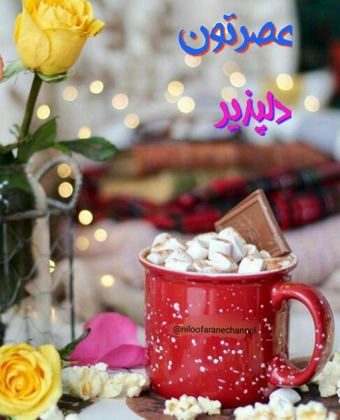 عکس عصر زمستانی