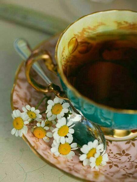 عکس عصر زمستانی
