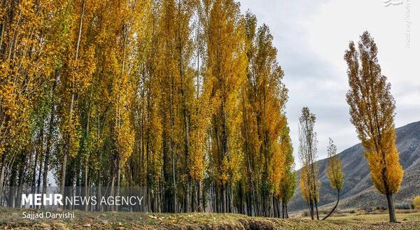 عکسهای زیبای طبیعت لرستان
