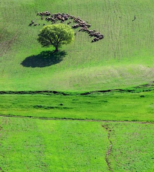 عکسهای زیبای طبیعت لرستان