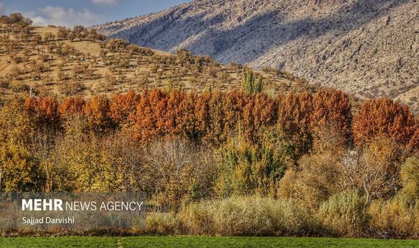 عکسهای زیبای طبیعت لرستان